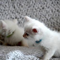 2 frères