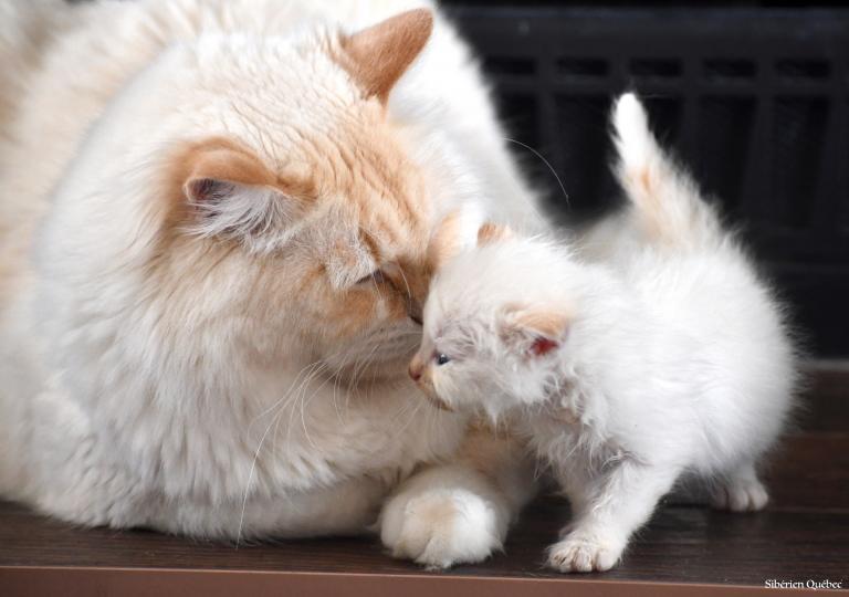 Carlito et son mini-moi