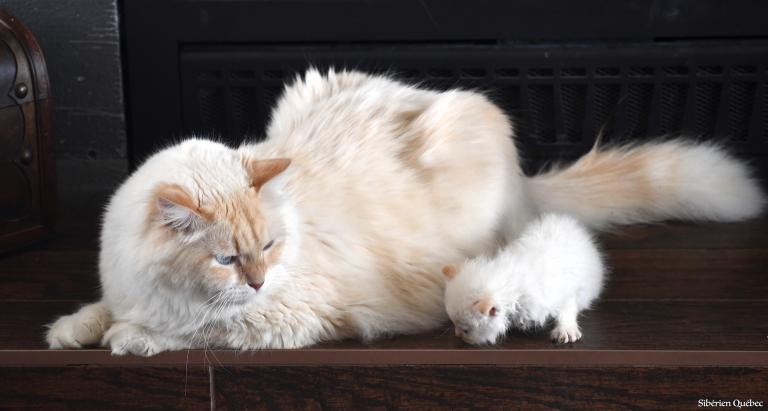 Carlito et son mini-moi