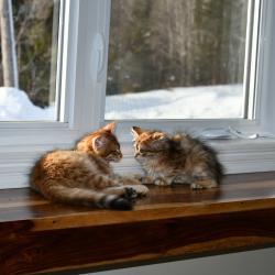 Frère et Soeur