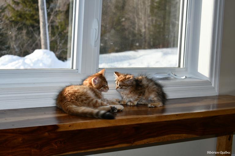 Frère et Soeur