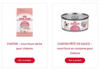 Royal canin chaton