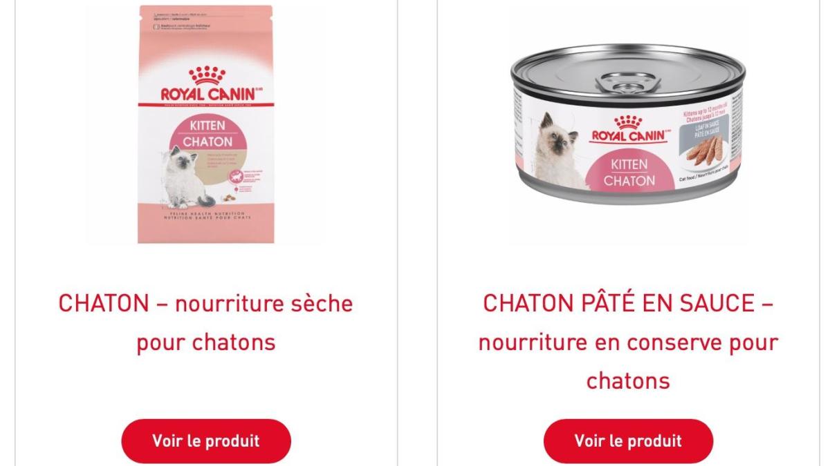 Royal canin chaton